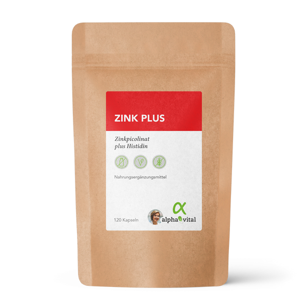 Refill Zink Plus 120stk
